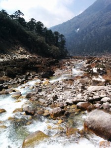 Tangsing to Bakkim