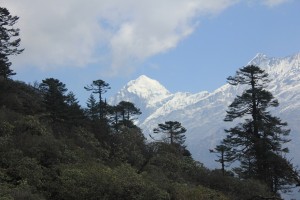 Tshoka to Dzongri