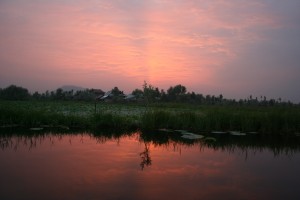 Sunset at Dal Lake